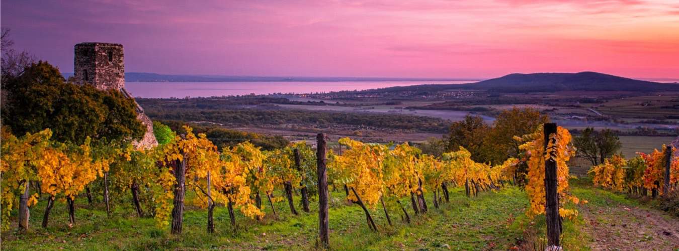 Balaton am Plattensee in Ungarn - Familienurlaub für ...